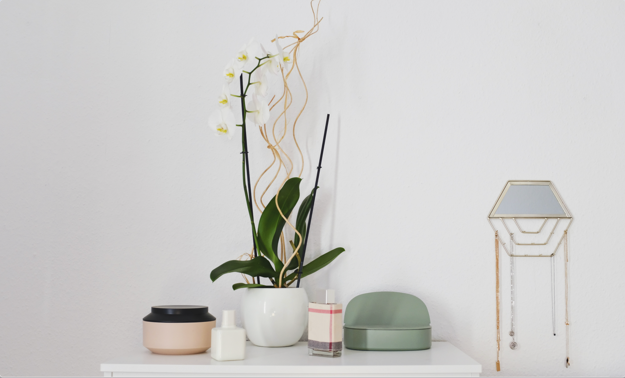 zara home ガラス鉢カバー　アクアリウム　新品未使用品　コンランショップ org.jpg
