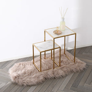 Francfranc Low Table