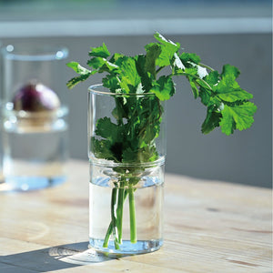 HARIO houseplants and vases