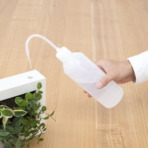 MUJI Houseplants and Vases