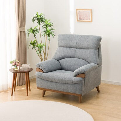 NITORI ファベニ　2人掛け NITORI ファベニ 2人掛け 布張り2人掛けソファ(SP02 GY