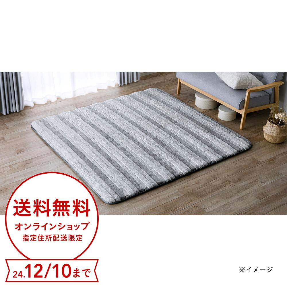 CAINZ(カインズ) 防音極厚なめらかラグ ＆Pet シュニーライン