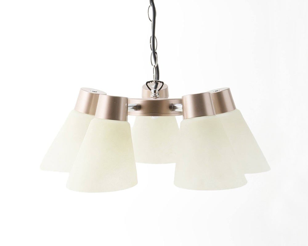 ACME Furniture(アクメファニチャー) LEO PENDANT LAMP ｜TRUSS(トラス