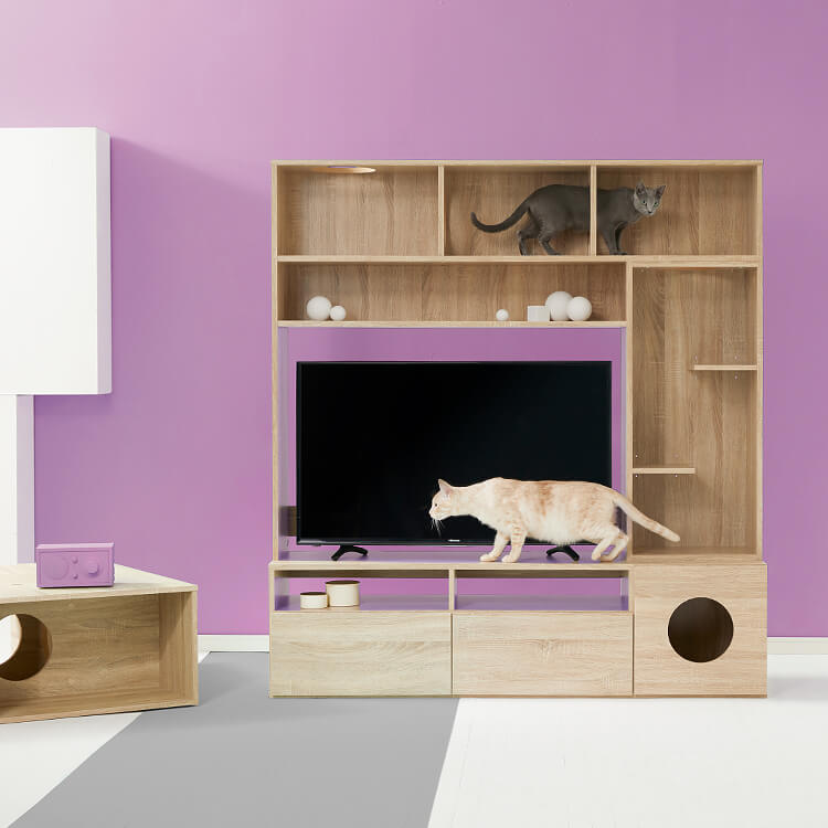 LOWYA(ロウヤ) テレビ台 キャットウォーク付壁面収納付テレビ台 43V型
