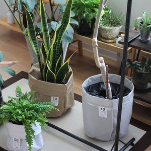 BRID（ブリッド）観葉植物・花瓶