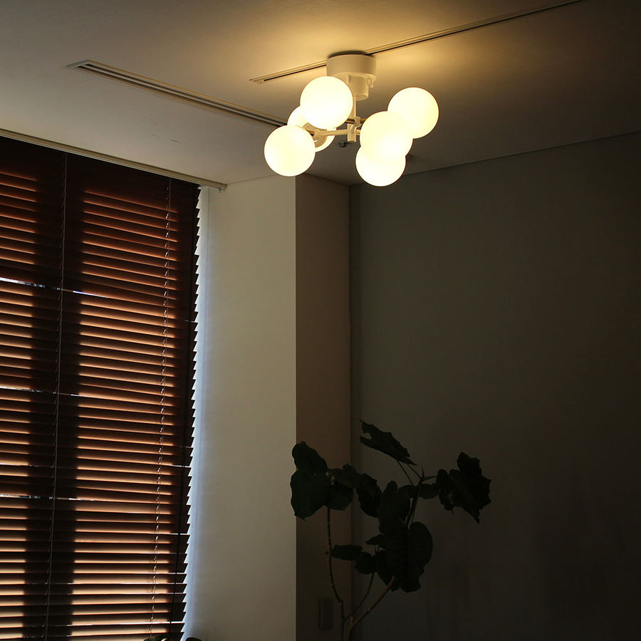 BRID(ブリッド) TINY GLASS CEILING LIGHT 6 - MIRUMU