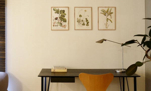 ポスター フレーム付き 30×40cm Ficus foliis palmatis