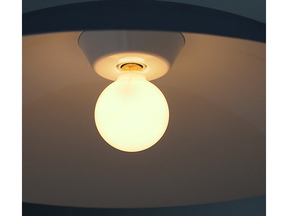 Pendant Light