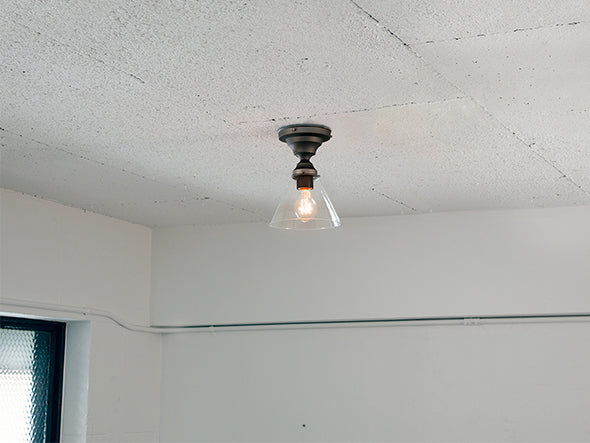 CUSTOM SERIES Basic Ceiling Lamp × Trans Soil