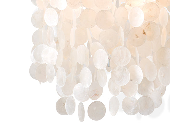 SHELL LAMP