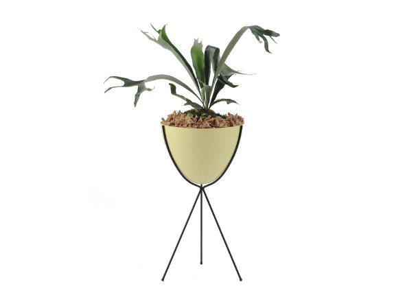 Retro Bullet Planter Tall