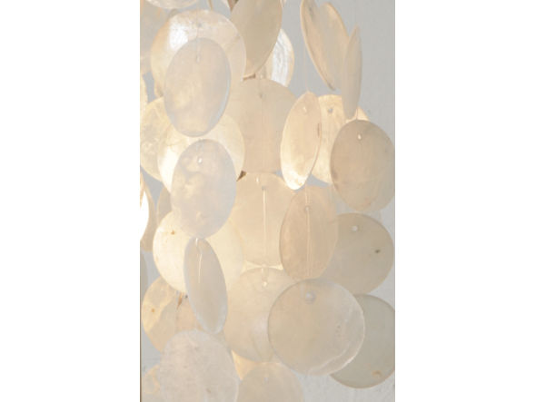 SHELL LAMP