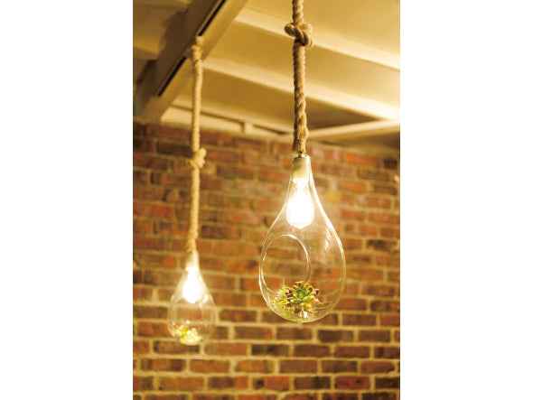 BOTANIC Hanging light