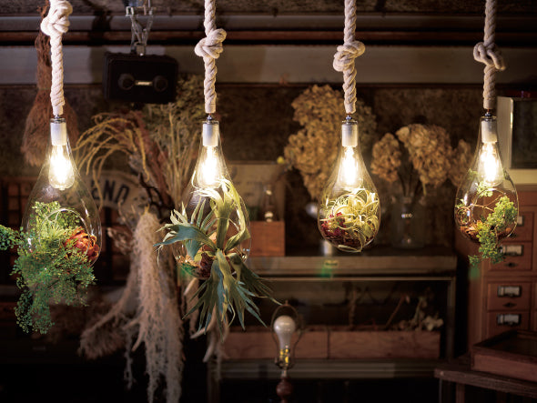 BOTANIC Hanging light