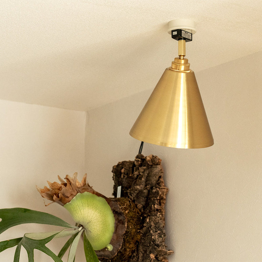 Lian Ceiling Brass