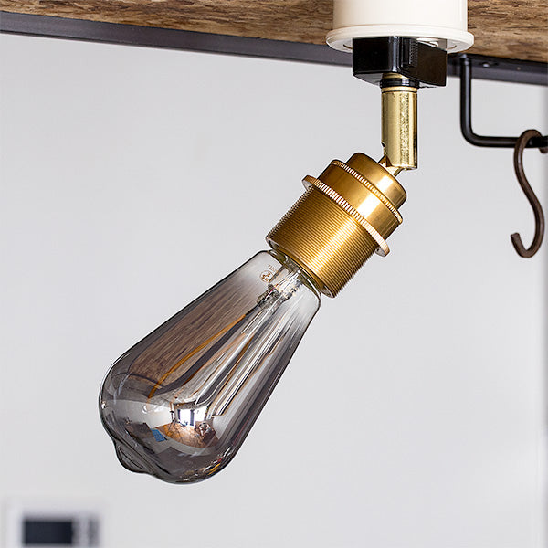 1 Light Ceiling Spot Brass
