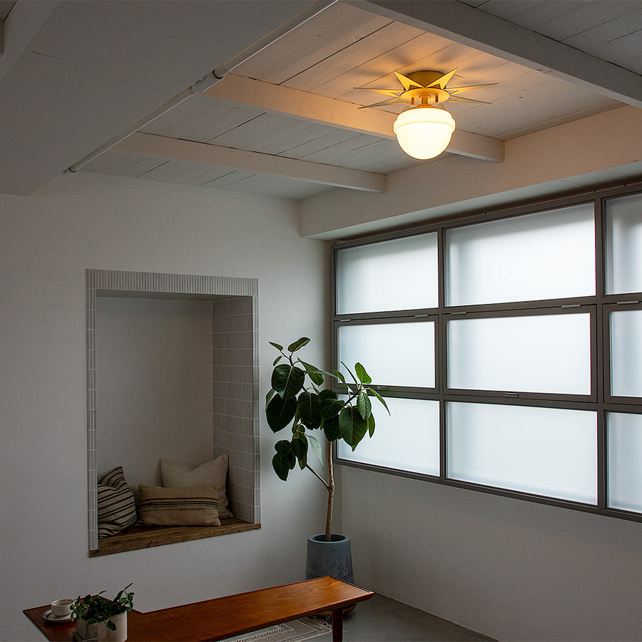 1-light ceiling light Finx Brass A60/White included