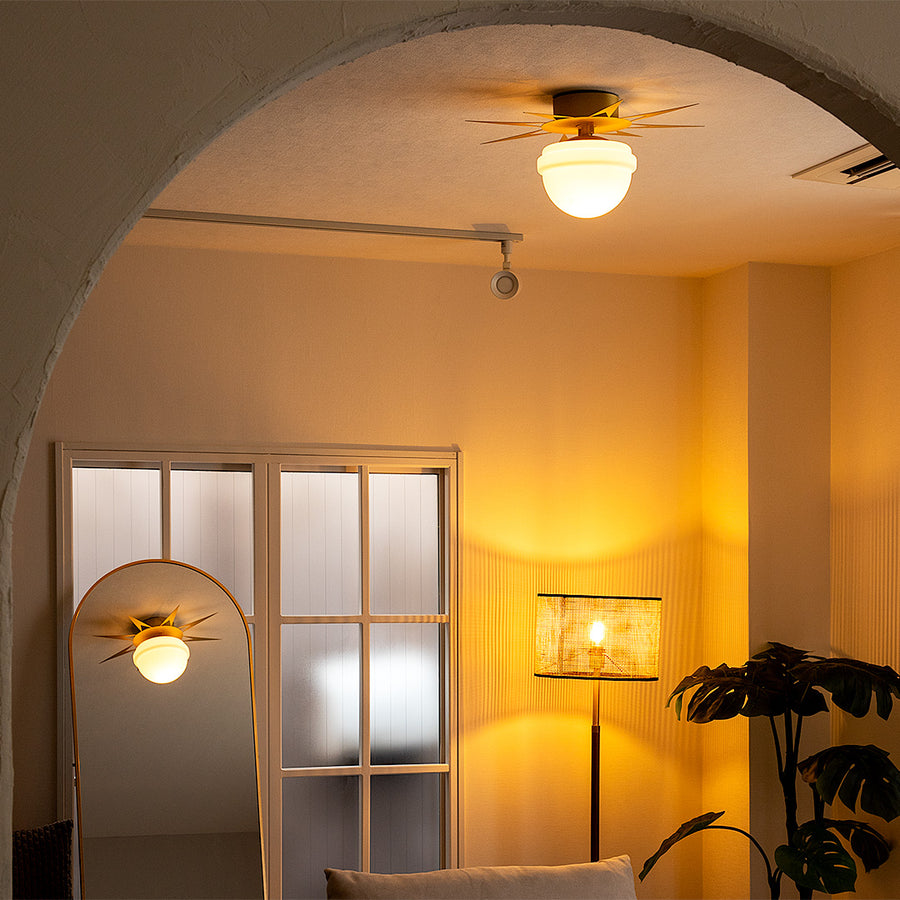 1-light ceiling light Finx Brass A60/White included