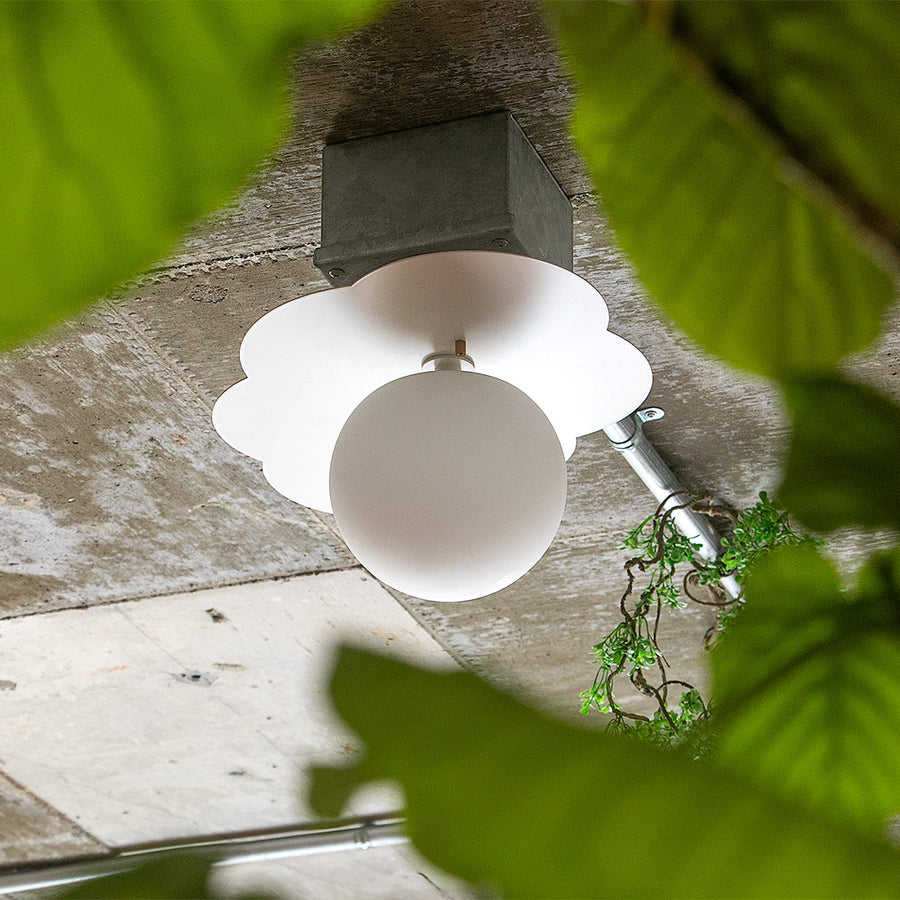 1-light ceiling light Burmese White