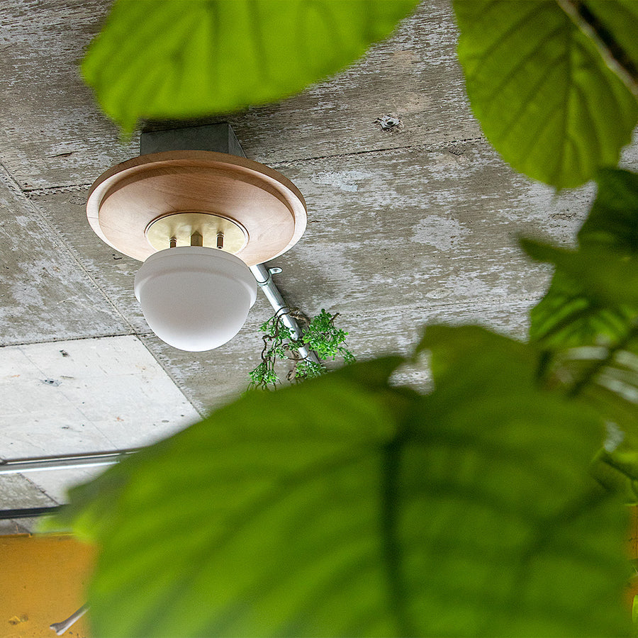 1-light ceiling light Ragdol Natural A60/White included