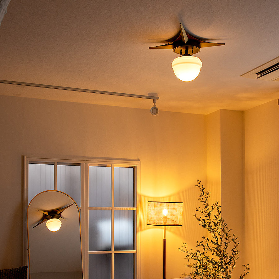 1-light ceiling light Belian Black A60/with white
