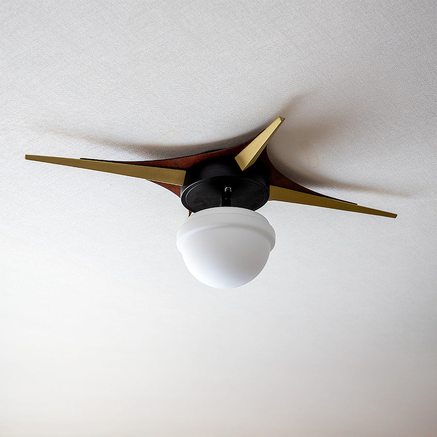 1-light ceiling light Belian Black A60/with white