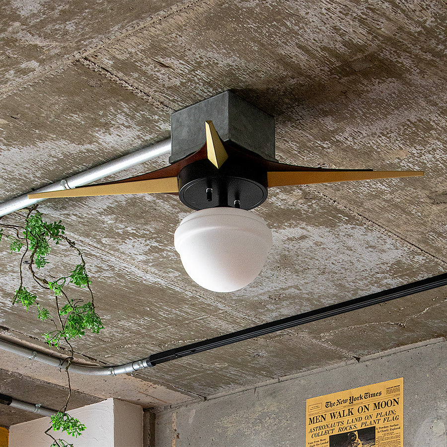 1-light ceiling light Belian Black A60/with white