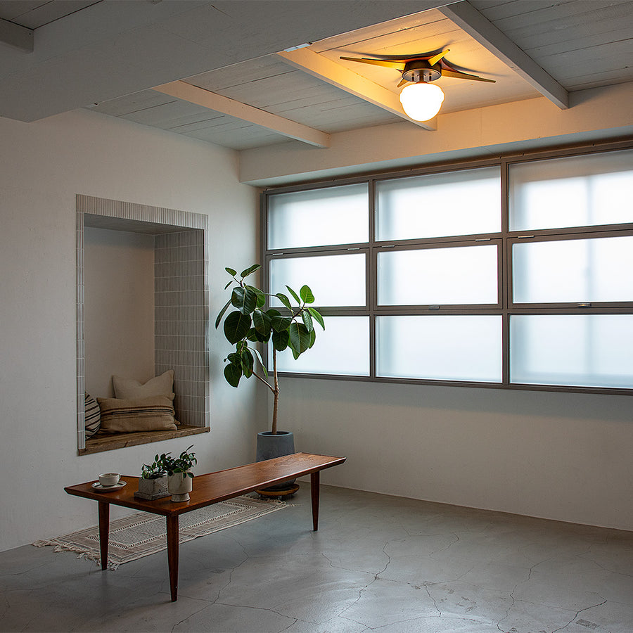 1-light ceiling light Belian Black A60/with white