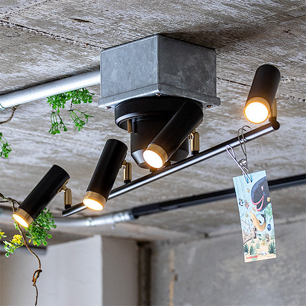 Nosh 4-light ceiling light, black