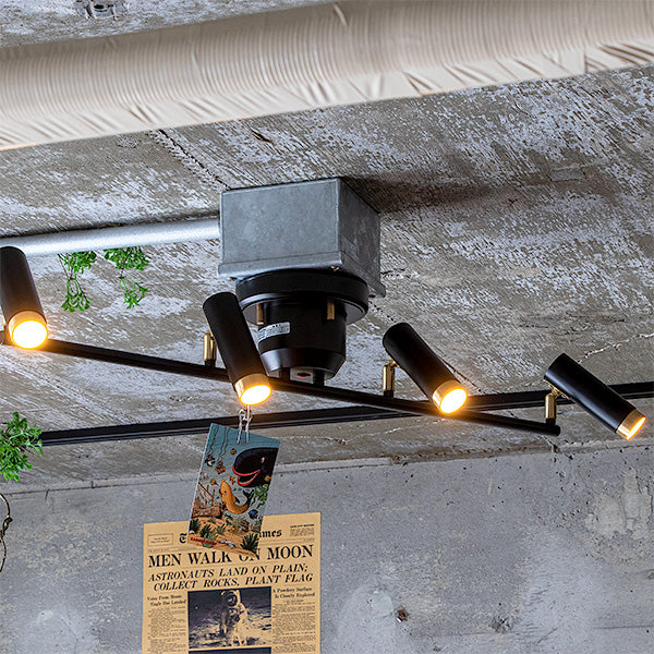 Nosh 4-light ceiling light, black