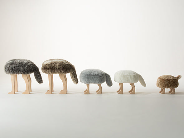 ANIMAL STOOL