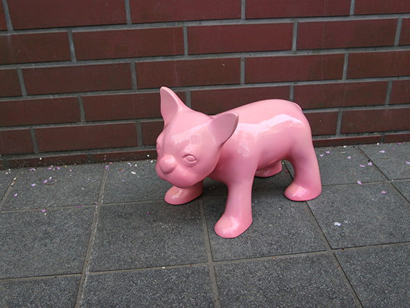 Drop French Bulldog