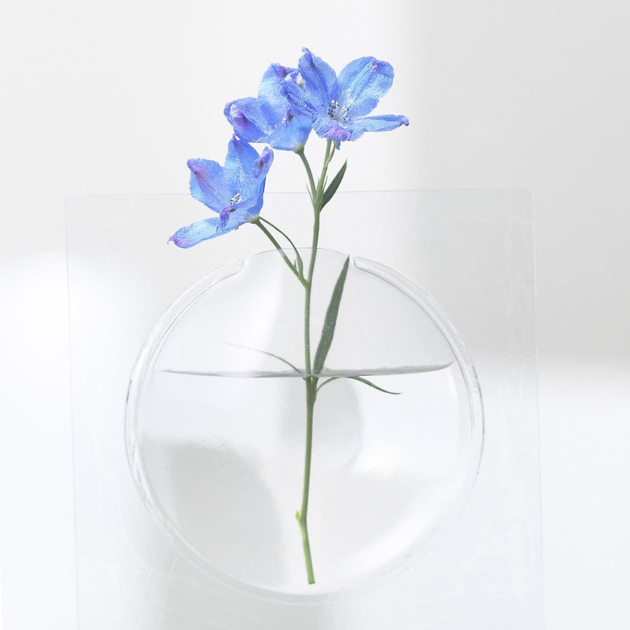 Kaki Blue