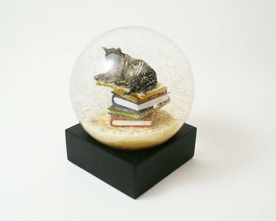 Snow Dome Cat on Books クールスノーグローブス