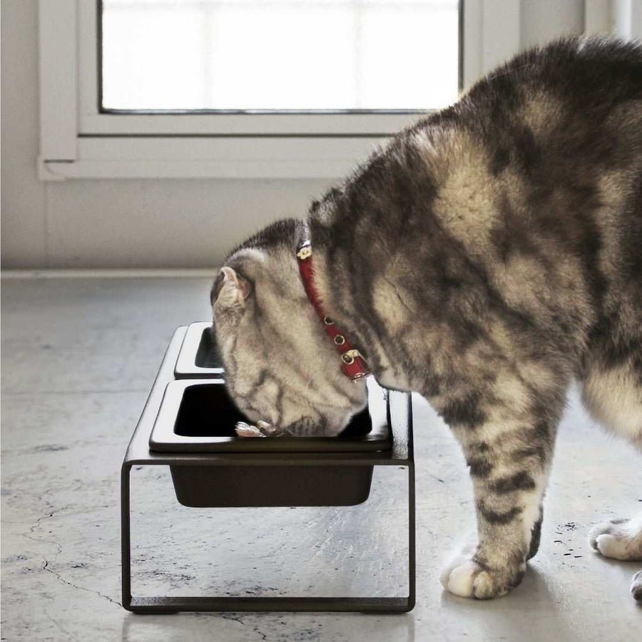 Tower Pet Food Bowl Set, Tall