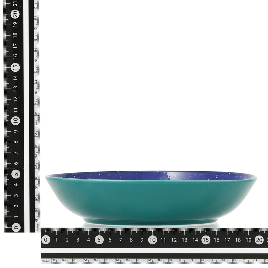 色々皿 ディーププレート スプラッター