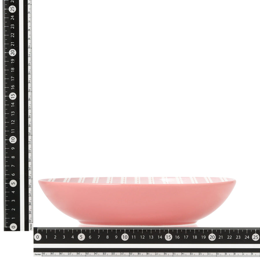 色々皿 オーバルディーププレート マルチストライプ