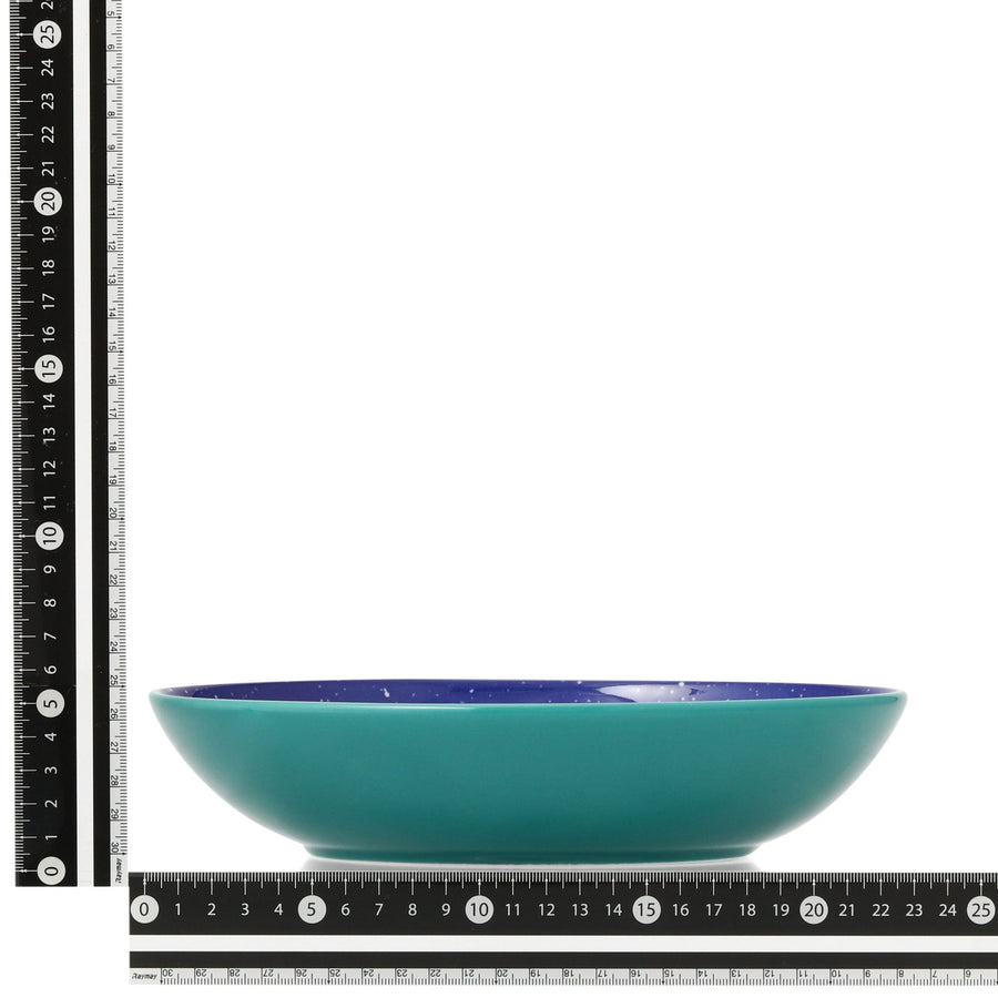 色々皿 オーバルディーププレート スプラッター