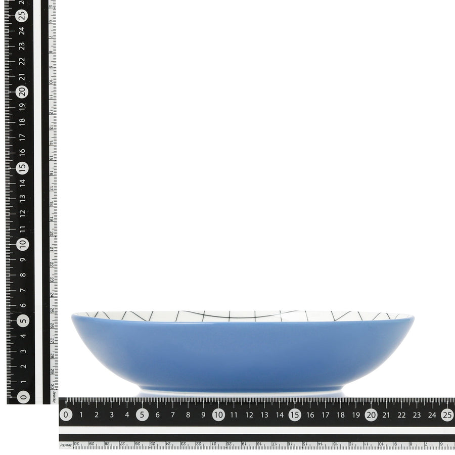 色々皿 オーバルディーププレート ウィンドウペン