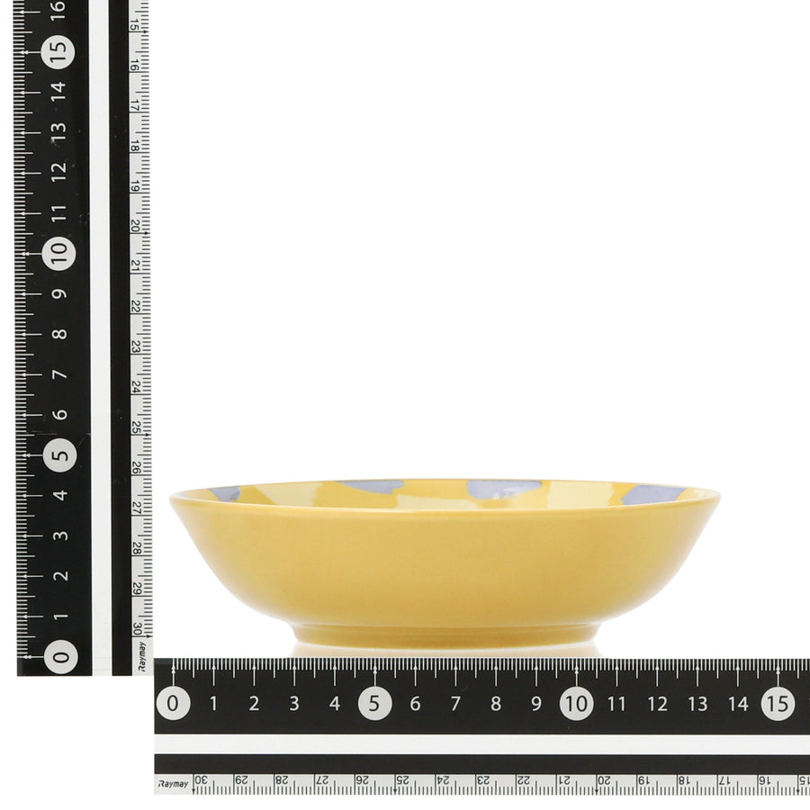 色々皿 ディーププレート S チェック