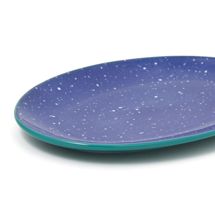 色々皿 オーバルプレート スプラッター