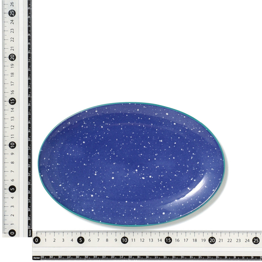 色々皿 オーバルプレート スプラッター