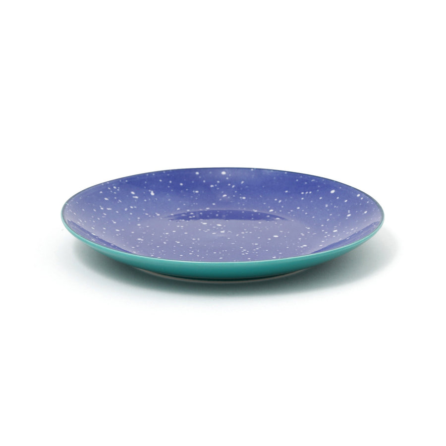 色々皿 プレート S スプラッター