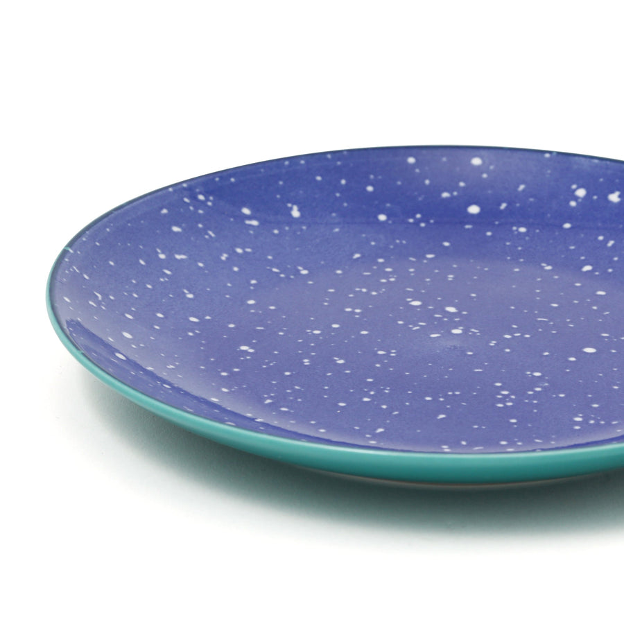 色々皿 プレート S スプラッター