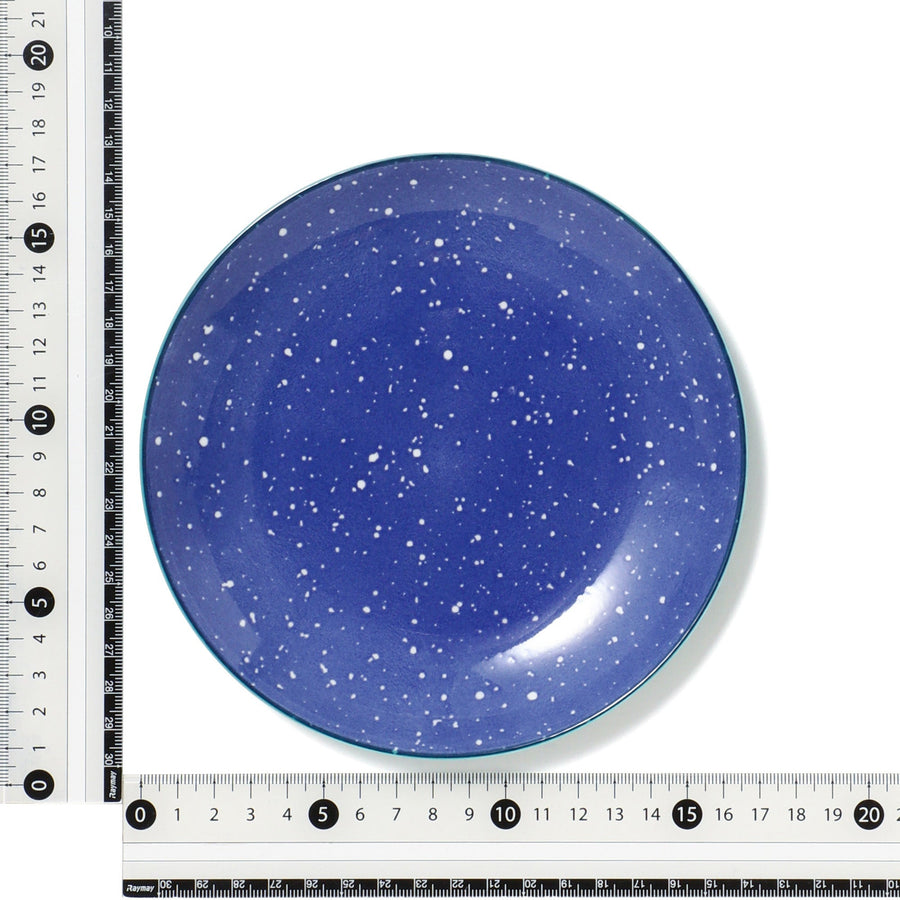 色々皿 プレート S スプラッター