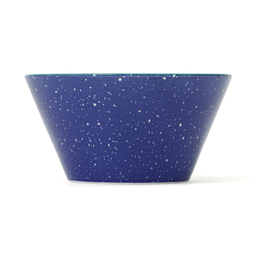 色々皿 ボウル スプラッター