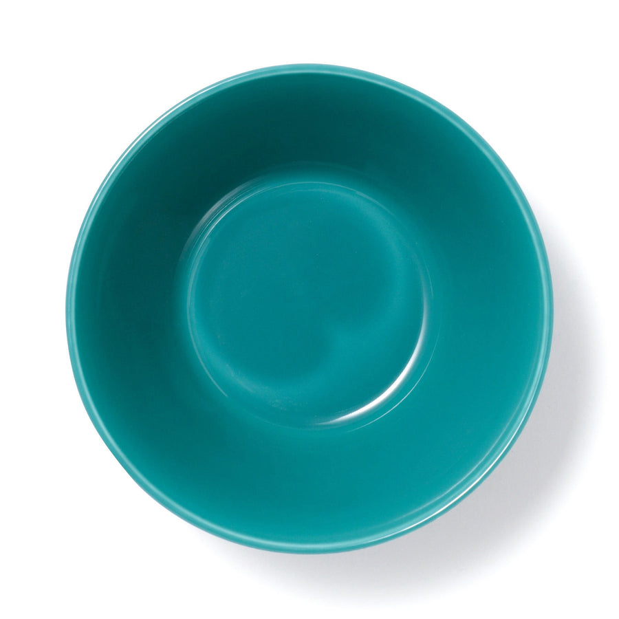 色々皿 ボウル スプラッター