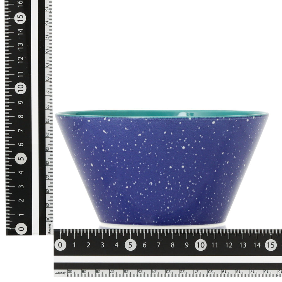 色々皿 ボウル スプラッター