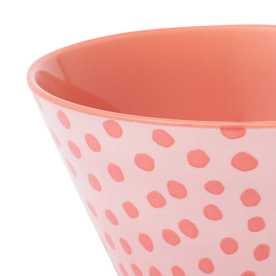 色々皿 ボウル ドット