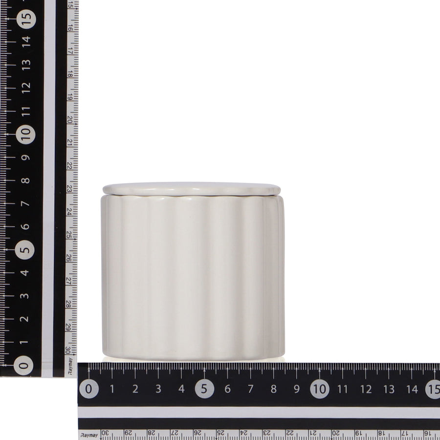 スカラップ 蒸しカップ ホワイト